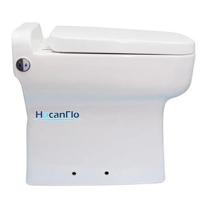 Rimless Back To Wall Toilet